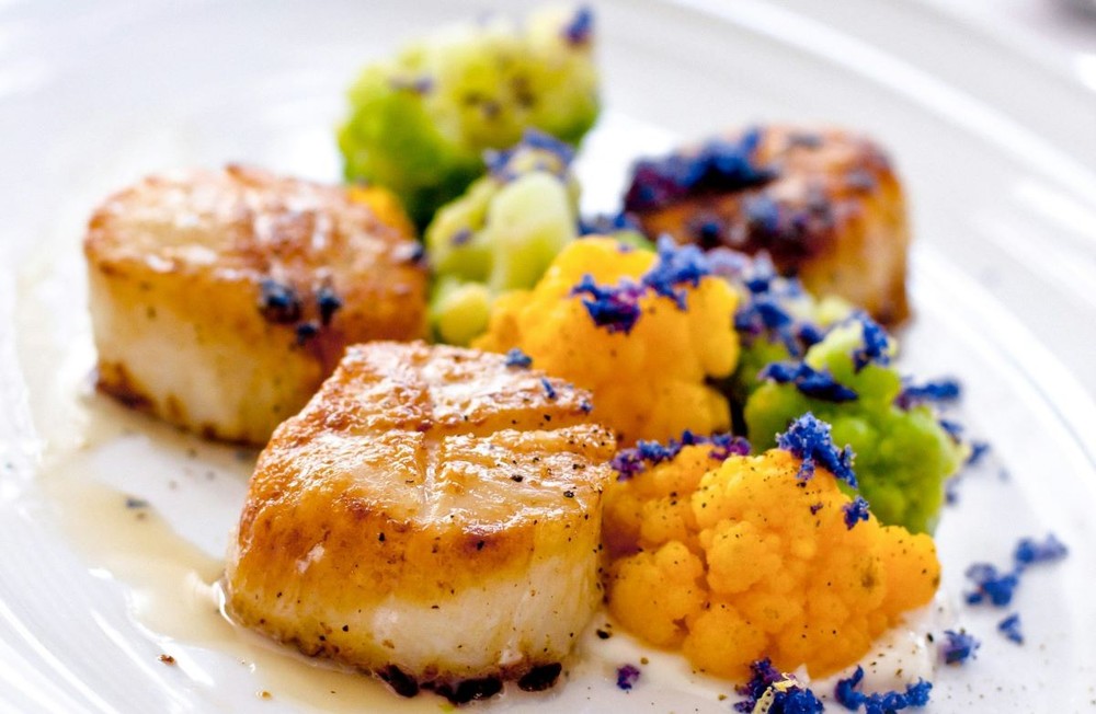 O que é vieira: confira seu uso na gastronomia e dicas de como preparar