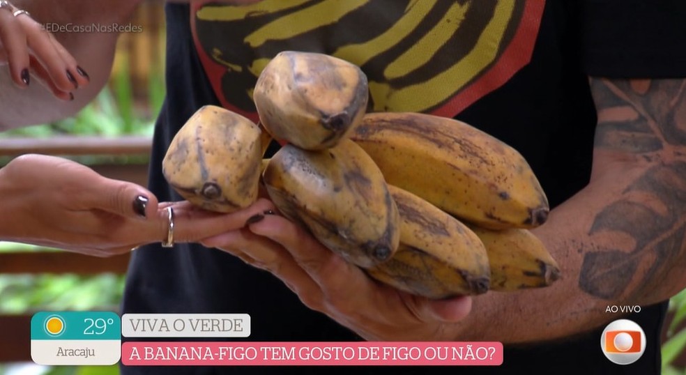 Você conhece a banana-figo? Saiba mais sobre a fruta — Foto: Reprodução/Globoplay