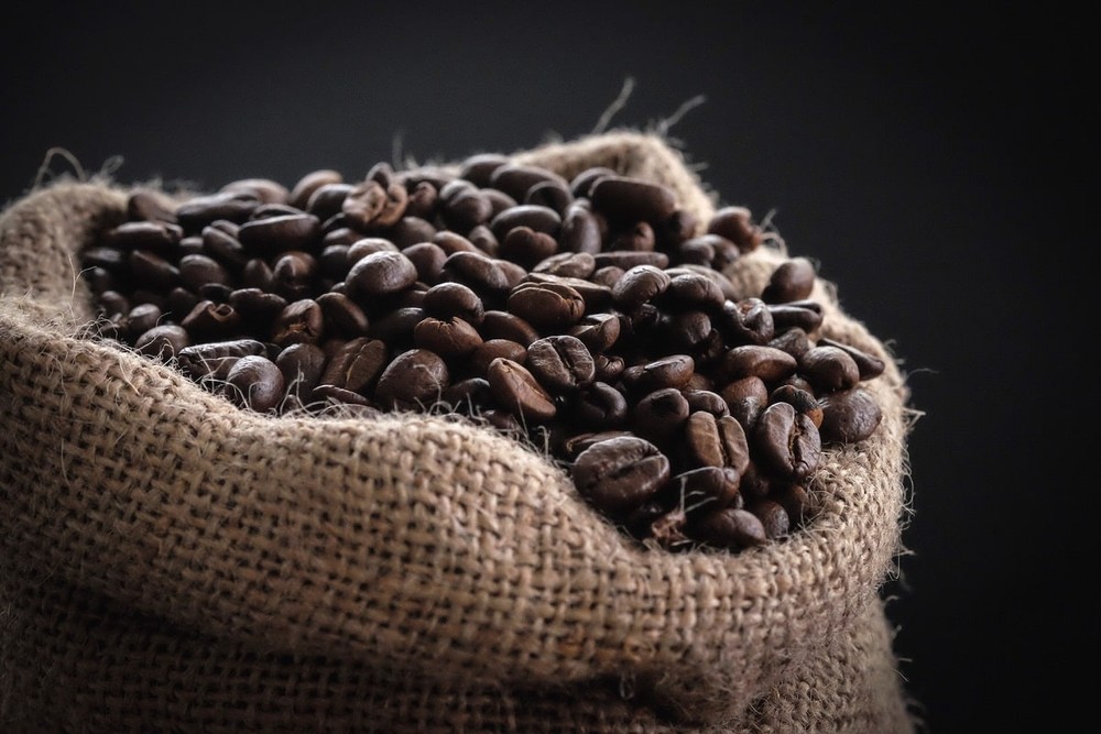 Tipos de café: entenda os selos de qualidade e características únicas