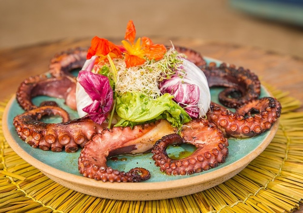 Arroz de polvo e mais: 10 receitas simples com o fruto do mar