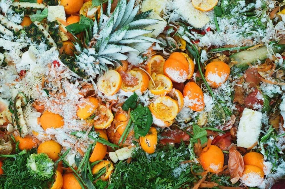 Desperdício de alimentos: saiba como evitar