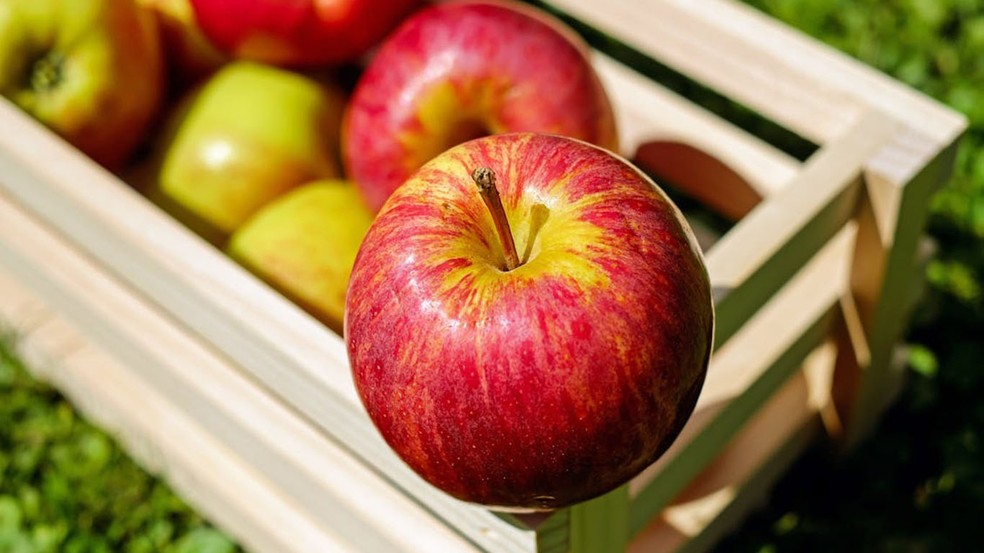 Por que a ma fica 'farinhenta'? Entenda e saiba como comprar fruta de qualidade  Foto: Reproduo/Pixabay