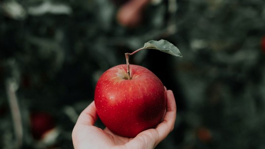 A fome aumenta após comer maçã? Nutricionistas explicam