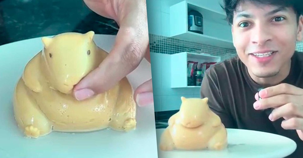 Pudim de capivara finalizado