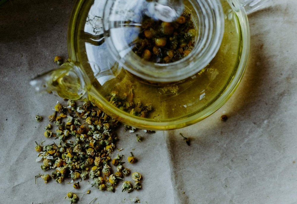 Chás que ajudam a dormir melhor: veja 5 plantas boas para combater a insônia