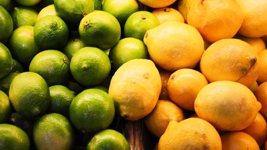Limão-taiti e limão-siciliano: conheça as diferenças