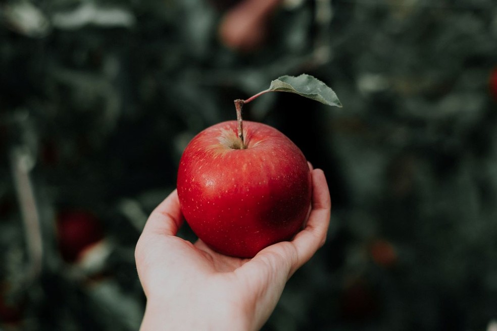 Saiba mitos e verdades sobre a ma  Foto: Reproduo da Internet/Unsplash