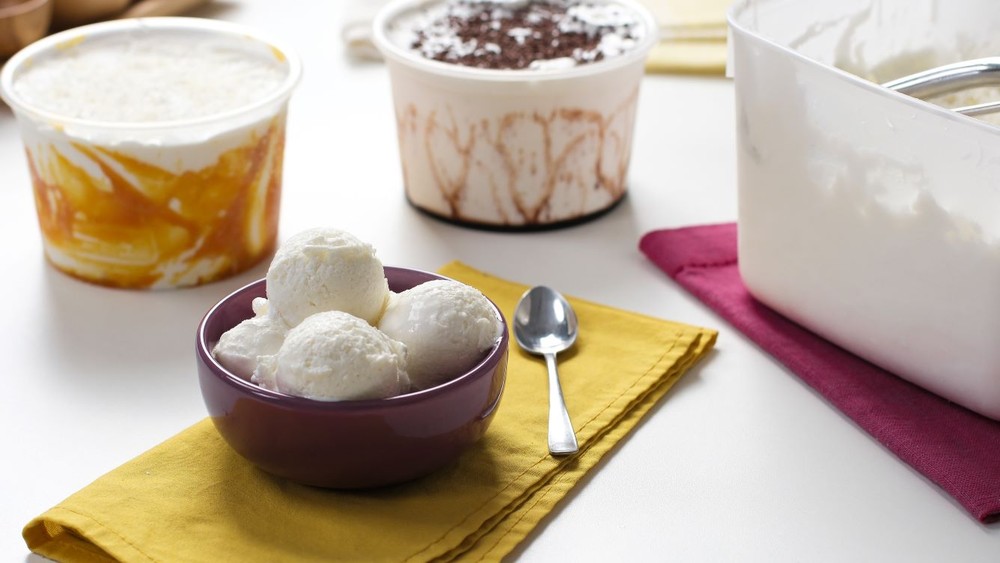 Veja dicas de como fazer sorvete cremoso e delicioso
