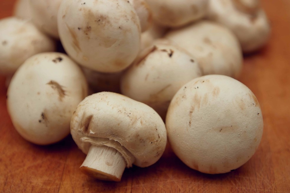 Na boca do povo: shitake, shimeji, champignon brasileiro nunca